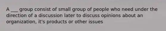 A ___ group consist of small group of people who need under the direction of a discussion later to discuss opinions about an organization, it's products or other issues