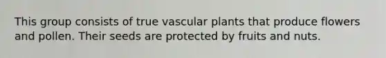 This group consists of true <a href='https://www.questionai.com/knowledge/kbaUXKuBoK-vascular-plants' class='anchor-knowledge'>vascular plants</a> that produce flowers and pollen. Their seeds are protected by fruits and nuts.