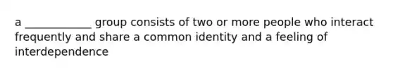 a ____________ group consists of two or more people who interact frequently and share a common identity and a feeling of interdependence