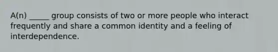 A(n) _____ group consists of two or more people who interact frequently and share a common identity and a feeling of interdependence.