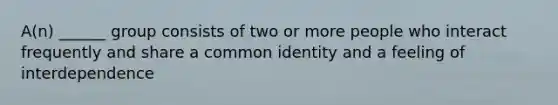 A(n) ______ group consists of two or more people who interact frequently and share a common identity and a feeling of interdependence