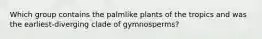 Which group contains the palmlike plants of the tropics and was the earliest-diverging clade of gymnosperms?