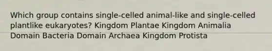 Which group contains single-celled animal-like and single-celled plantlike eukaryotes? Kingdom Plantae Kingdom Animalia Domain Bacteria Domain Archaea Kingdom Protista