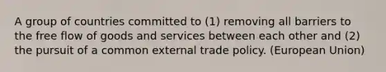 A group of countries committed to (1) removing all barriers to the free flow of goods and services between each other and (2) the pursuit of a common external trade policy. (European Union)