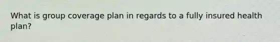What is group coverage plan in regards to a fully insured health plan?
