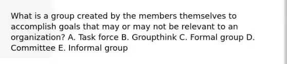 What is a group created by the members themselves to accomplish goals that may or may not be relevant to an organization? A. Task force B. Groupthink C. Formal group D. Committee E. Informal group