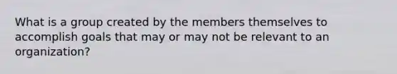 What is a group created by the members themselves to accomplish goals that may or may not be relevant to an organization?