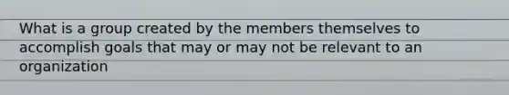 What is a group created by the members themselves to accomplish goals that may or may not be relevant to an organization