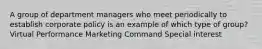 A group of department managers who meet periodically to establish corporate policy is an example of which type of group? Virtual Performance Marketing Command Special interest