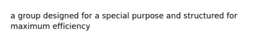 a group designed for a special purpose and structured for maximum efficiency