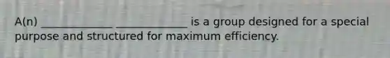 A(n) _____________ _____________ is a group designed for a special purpose and structured for maximum efficiency.