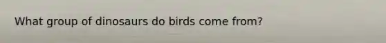 What group of dinosaurs do birds come from?