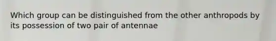 Which group can be distinguished from the other anthropods by its possession of two pair of antennae