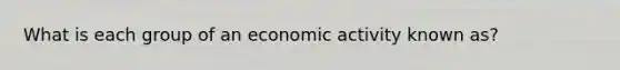 What is each group of an economic activity known as?