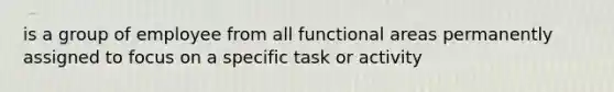 is a group of employee from all functional areas permanently assigned to focus on a specific task or activity