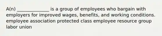 A(n) ______________ is a group of employees who bargain with employers for improved wages, benefits, and working conditions. employee association protected class employee resource group labor union