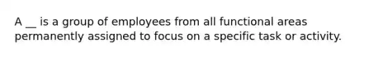 A __ is a group of employees from all functional areas permanently assigned to focus on a specific task or activity.
