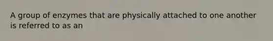 A group of enzymes that are physically attached to one another is referred to as an