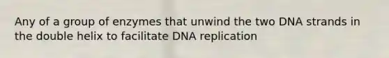 Any of a group of enzymes that unwind the two DNA strands in the double helix to facilitate <a href='https://www.questionai.com/knowledge/kofV2VQU2J-dna-replication' class='anchor-knowledge'>dna replication</a>