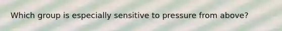 Which group is especially sensitive to pressure from above?