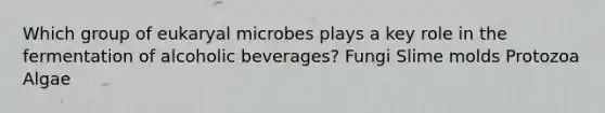 Which group of eukaryal microbes plays a key role in the fermentation of alcoholic beverages? Fungi Slime molds Protozoa Algae