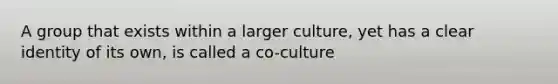 A group that exists within a larger culture, yet has a clear identity of its own, is called a co-culture