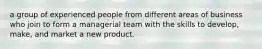 a group of experienced people from different areas of business who join to form a managerial team with the skills to develop, make, and market a new product.