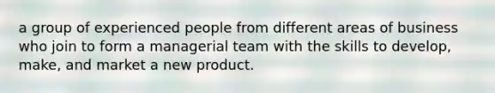 a group of experienced people from different areas of business who join to form a managerial team with the skills to develop, make, and market a new product.