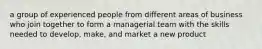 a group of experienced people from different areas of business who join together to form a managerial team with the skills needed to develop, make, and market a new product