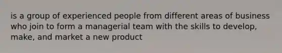 is a group of experienced people from different areas of business who join to form a managerial team with the skills to develop, make, and market a new product