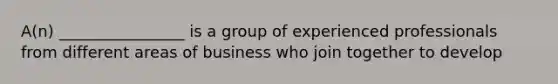 A(n) ________________ is a group of experienced professionals from different areas of business who join together to develop