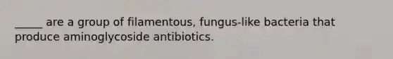 _____ are a group of filamentous, fungus-like bacteria that produce aminoglycoside antibiotics.