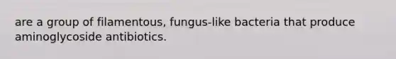 are a group of filamentous, fungus-like bacteria that produce aminoglycoside antibiotics.