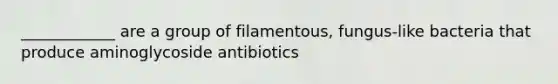 ____________ are a group of filamentous, fungus-like bacteria that produce aminoglycoside antibiotics