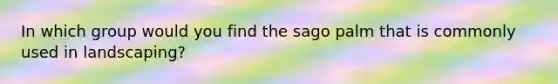 In which group would you find the sago palm that is commonly used in landscaping?