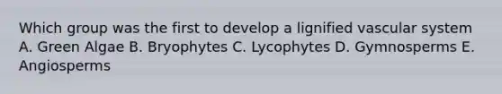 Which group was the first to develop a lignified vascular system A. Green Algae B. Bryophytes C. Lycophytes D. Gymnosperms E. Angiosperms