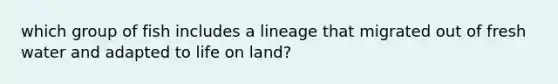 which group of fish includes a lineage that migrated out of fresh water and adapted to life on land?