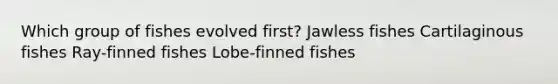 Which group of fishes evolved first? Jawless fishes Cartilaginous fishes Ray-finned fishes Lobe-finned fishes