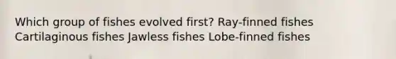 Which group of fishes evolved first? Ray-finned fishes Cartilaginous fishes Jawless fishes Lobe-finned fishes