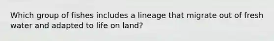 Which group of fishes includes a lineage that migrate out of fresh water and adapted to life on land?