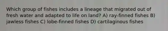 Which group of fishes includes a lineage that migrated out of fresh water and adapted to life on land? A) ray-finned fishes B) jawless fishes C) lobe-finned fishes D) cartilaginous fishes