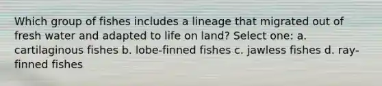 Which group of fishes includes a lineage that migrated out of fresh water and adapted to life on land? Select one: a. cartilaginous fishes b. lobe-finned fishes c. jawless fishes d. ray-finned fishes