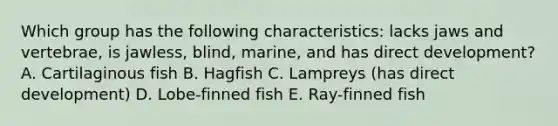 Which group has the following characteristics: lacks jaws and vertebrae, is jawless, blind, marine, and has direct development? A. Cartilaginous fish B. Hagfish C. Lampreys (has direct development) D. Lobe-finned fish E. Ray-finned fish