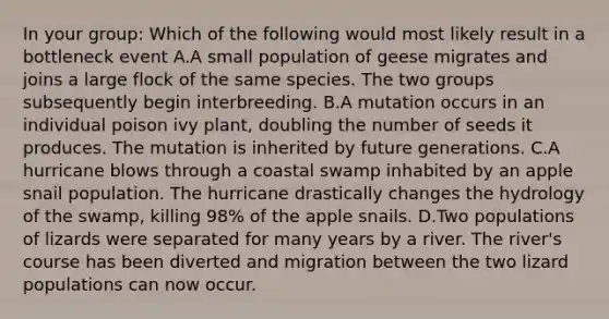 In your group: Which of the following would most likely result in a bottleneck event A.A small population of geese migrates and joins a large flock of the same species. The two groups subsequently begin interbreeding. B.A mutation occurs in an individual poison ivy plant, doubling the number of seeds it produces. The mutation is inherited by future generations. C.A hurricane blows through a coastal swamp inhabited by an apple snail population. The hurricane drastically changes the hydrology of the swamp, killing 98% of the apple snails. D.Two populations of lizards were separated for many years by a river. The river's course has been diverted and migration between the two lizard populations can now occur.