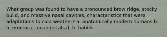 What group was found to have a pronounced brow ridge, stocky build, and massive nasal cavities, characteristics that were adaptations to cold weather? a. anatomically modern humans b. h. erectus c. neandertals d. h. habilis