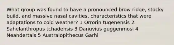 What group was found to have a pronounced brow ridge, stocky build, and massive nasal cavities, characteristics that were adaptations to cold weather? 1 Orrorin tugenensis 2 Sahelanthropus tchadensis 3 Danuvius guggenmosi 4 Neandertals 5 Australopithecus Garhi