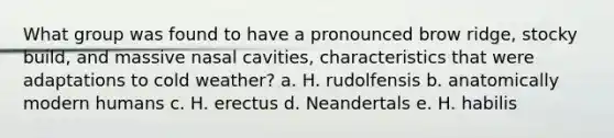 What group was found to have a pronounced brow ridge, stocky build, and massive nasal cavities, characteristics that were adaptations to cold weather? a. H. rudolfensis b. anatomically modern humans c. H. erectus d. Neandertals e. H. habilis