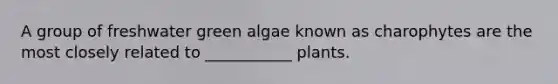 A group of freshwater green algae known as charophytes are the most closely related to ___________ plants.