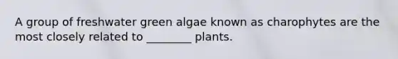 A group of freshwater green algae known as charophytes are the most closely related to ________ plants.