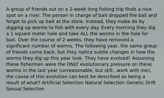 A group of friends out on a 2-week long fishing trip finds a nice spot on a river. The person in charge of bait dropped the ball and forgot to pick up bait at the store. Instead, they make do by digging up worms to fish with every day. Every morning they dig a 1 square meter hole and take ALL the worms in the hole for bait. Over the course of 2 weeks, they have removed a significant number of worms. The following year, the same group of friends come back, but they notice subtle changes in how the worms they dig up this year look. They have evolved! Assuming these fishermen were the ONLY evolutionary pressure on these worms in the last year (unreasonable, but still...work with me), the cause of this evolution can best be described as being a result of what? Artificial Selection Natural Selection Genetic Drift Sexual Selection